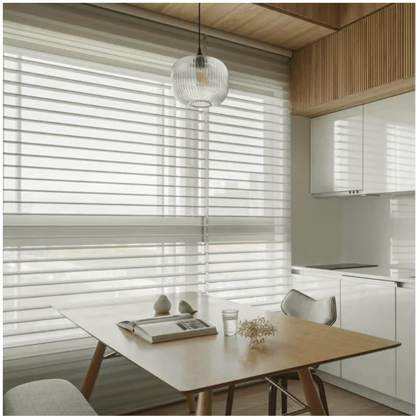 Electric See-Through Blinds